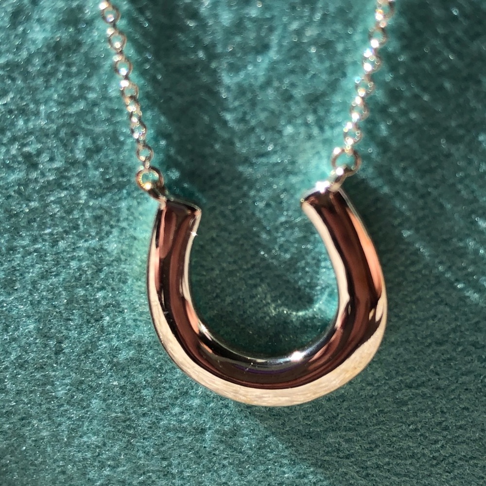 Tiffany Horseshoe Necklace